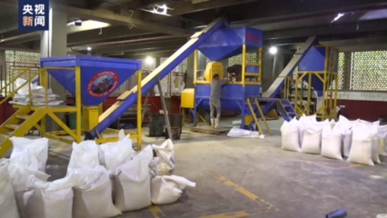 美國制裁對委內(nèi)瑞拉農(nóng)業(yè)生產(chǎn)的沖擊 農(nóng)業(yè)物資進口受阻與飼料生產(chǎn)危機