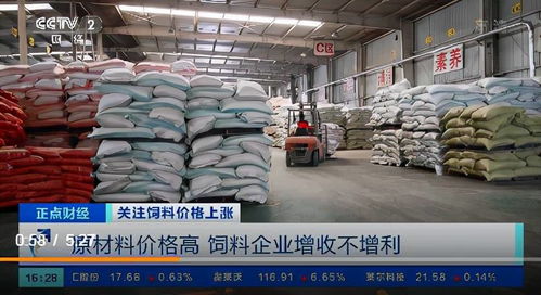 飼料價格上漲的連鎖反應(yīng) 養(yǎng)殖戶虧損加劇，企業(yè)利潤承壓