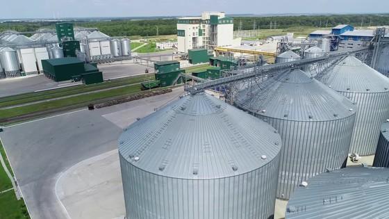 匠心與實用 飼料包裝設計的創新與飼料生產的協同發展